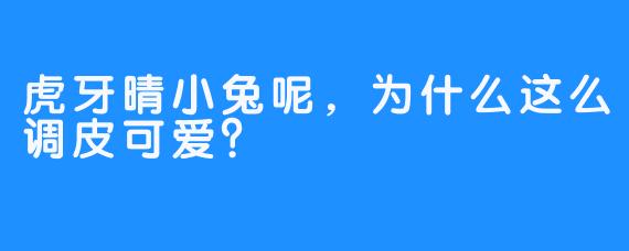 虎牙晴小兔呢，为什么这么调皮可爱？