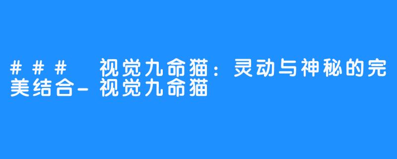 ### 视觉九命猫：灵动与神秘的完美结合-视觉九命猫