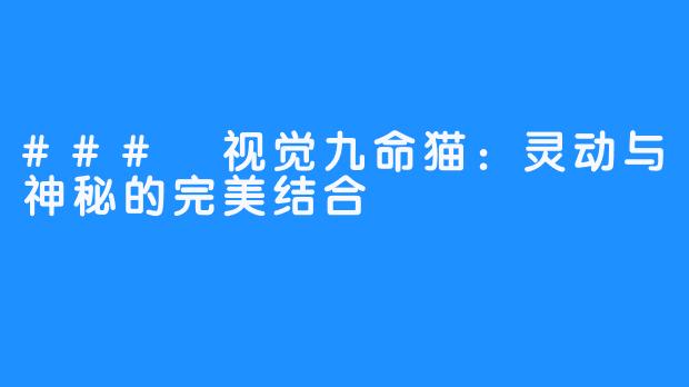 ### 视觉九命猫：灵动与神秘的完美结合