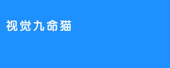 ### 视觉九命猫：灵动与神秘的完美结合