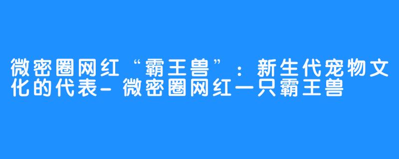 微密圈网红“霸王兽”：新生代宠物文化的代表-微密圈网红一只霸王兽