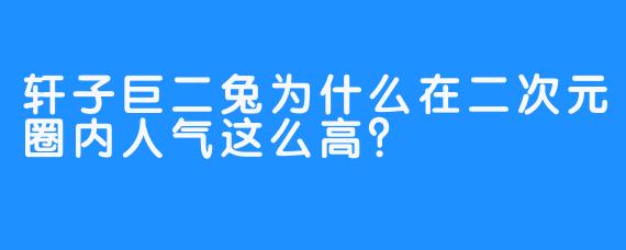 轩子巨二兔为什么在二次元圈内人气这么高？