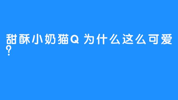 甜酥小奶猫Q为什么这么可爱？