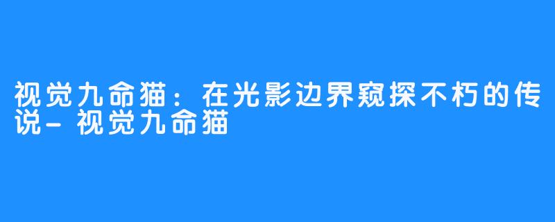 视觉九命猫：在光影边界窥探不朽的传说-视觉九命猫