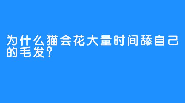 为什么猫会花大量时间舔自己的毛发?