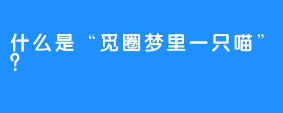 什么是“觅圈梦里一只喵”？
