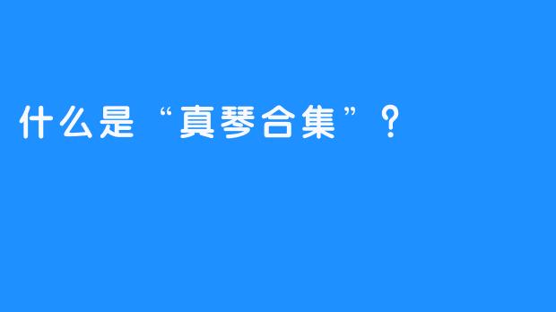 什么是“真琴合集”？