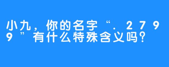 小九，你的名字“.2799”有什么特殊含义吗？