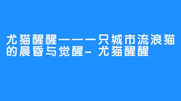 尤猫醒醒——一只城市流浪猫的晨昏与觉醒-尤猫醒醒