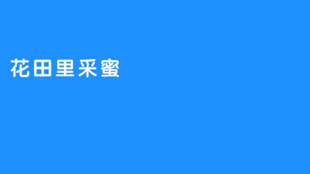 花田里采蜜