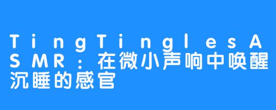 TingTinglesASMR:在微小声响中唤醒沉睡的感官