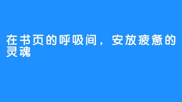 在书页的呼吸间,安放疲惫的灵魂